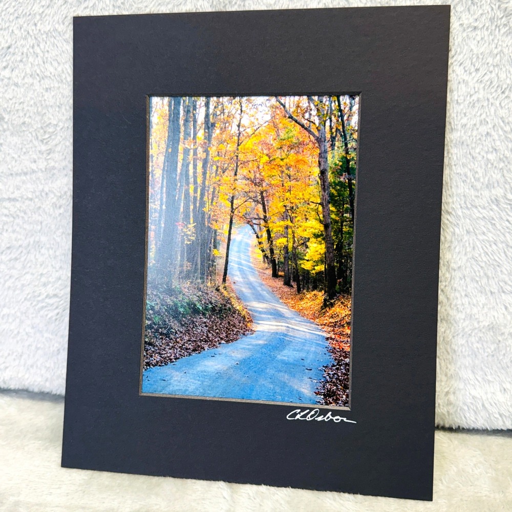 Autumn Landscape Photo Dividing Ridge Road VA Christie Osborne Signed  8x10 Mat